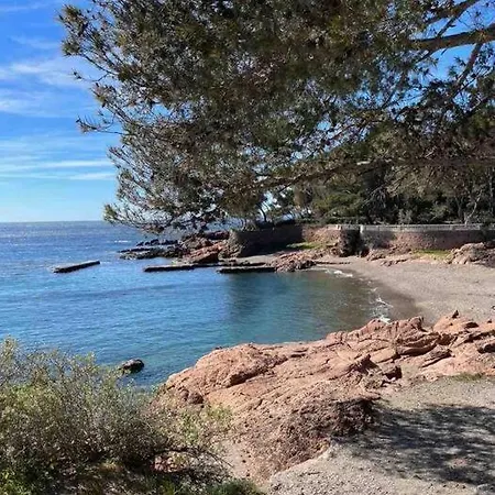 Appartement Appart Chelsea 4px Piscine Acces Plage *